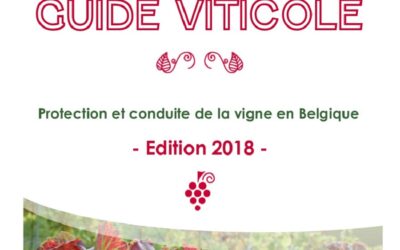 Actu vigne 04/2018