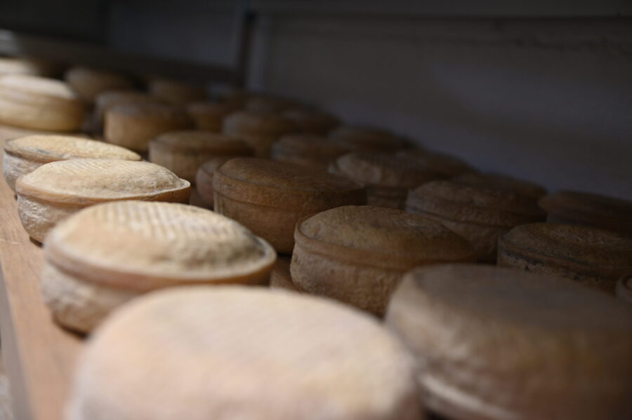 2023 Hainaut Développement (88)