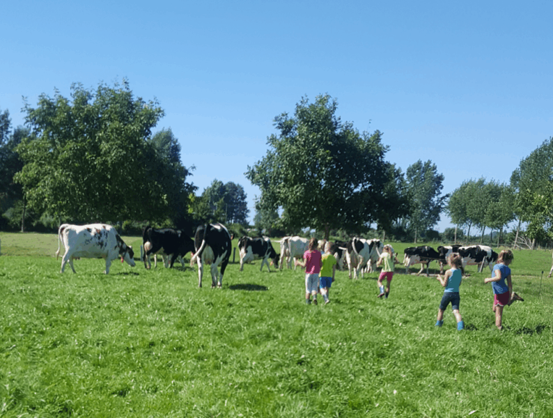 2025 courrier stages 3