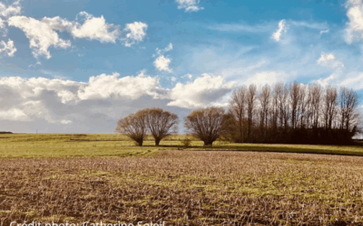 Résultats des comptabilités de gestion 2024