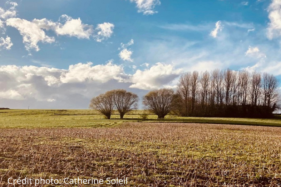 202304 Catherine Soleil paysage avec crédit 900×600