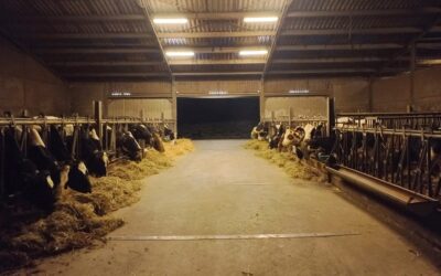 Tout le monde au chaud