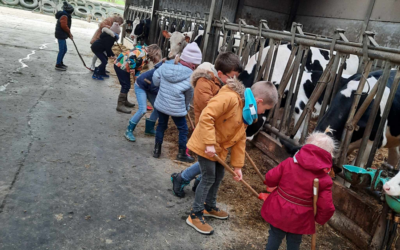 Stage de carnaval à la ferme