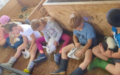 Stages à la ferme printemps-été 2026