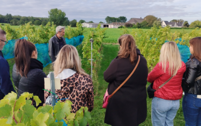 Teambuilding à la ferme